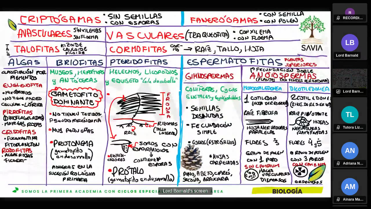 SAVIA SEMIANUAL 2024 | Semana 17 | Biología