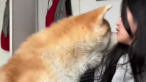 Kissing your dog 🐕 suddenly 😍