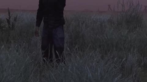I Got Roasted In DayZ
