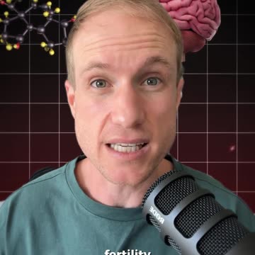 What SHEIN isn't telling!