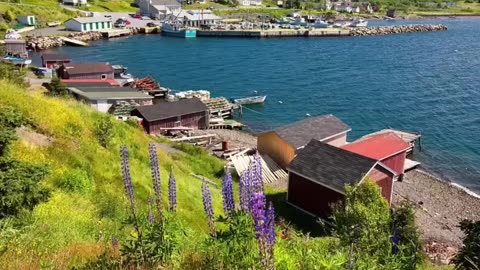 🤔👀 This Town Has a Mind-Blowing Secret! | FunFM