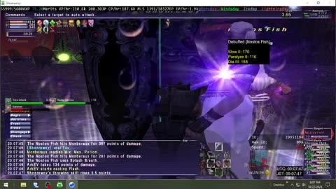 Playing Final Fantasy XI Online