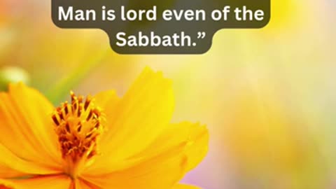 Journey of faith and spiritual growth Mark 2:27-28 Daily Bible Verse