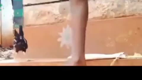 Funny videos🤣❤️#prank #funny #funnyprank #scared #fun #fail #jumpscare