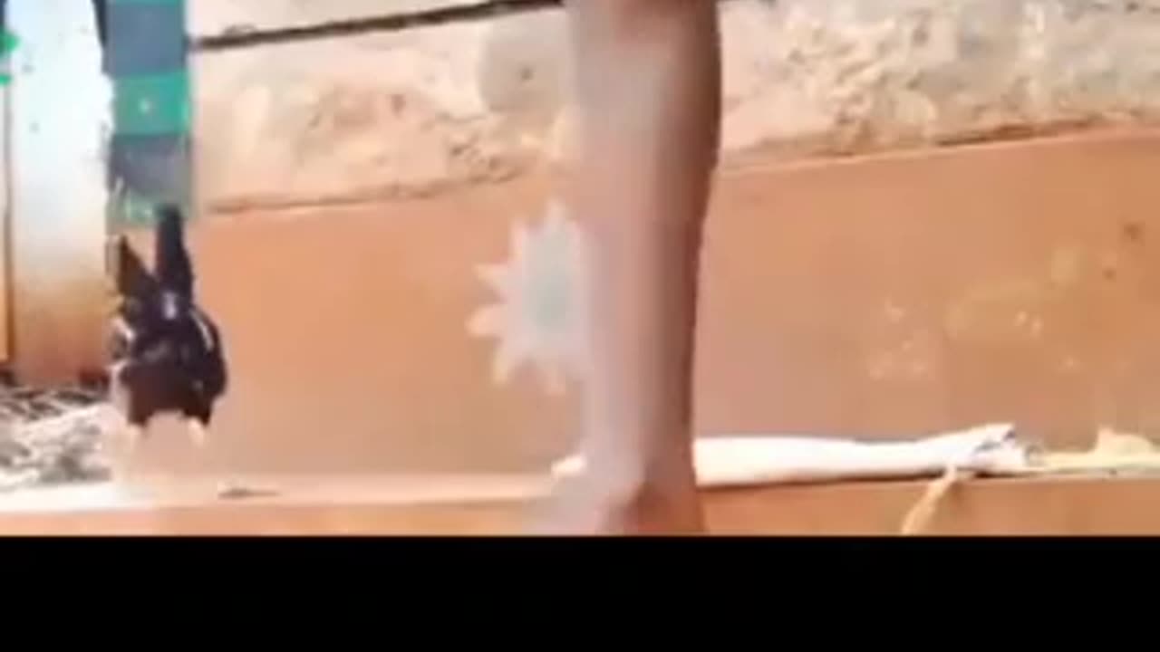 Funny videos🤣❤️#prank #funny #funnyprank #scared #fun #fail #jumpscare