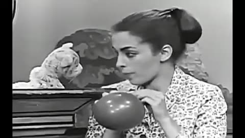 MISTER ROGERS... AND THE RFK ASSASSINATION