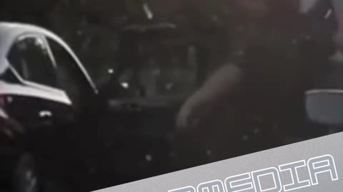 Brazen Roadside Theft Caught on Camera: