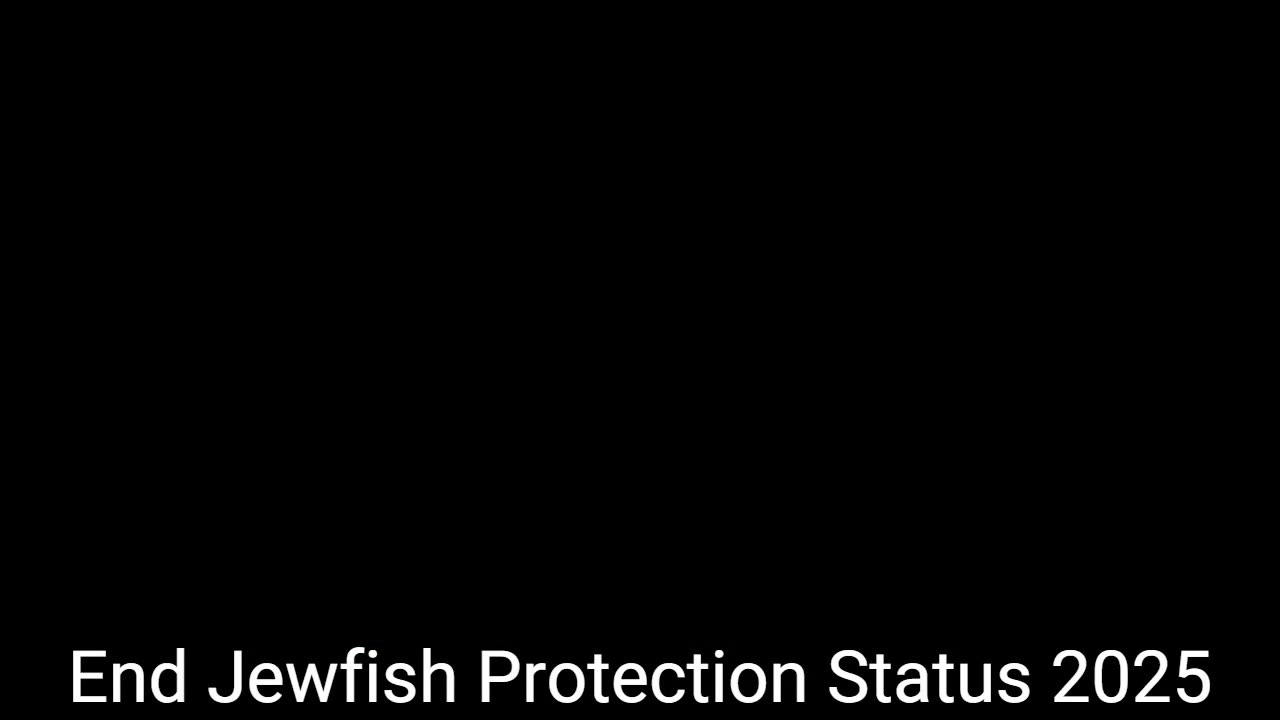 Jewfish angling