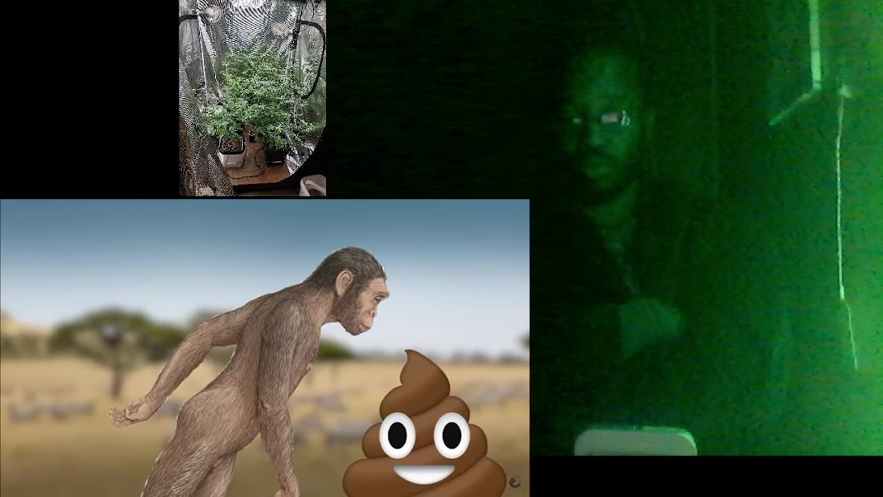 stoned ape theory review hw25