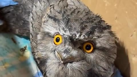 😵‍💫🤔 You Won't Believe How Confused This Moment Gets! | FunFM
