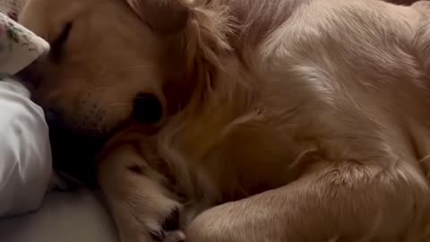 Real sleeping