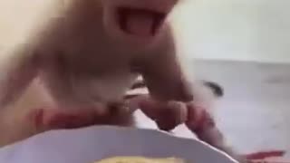 😂🔥 Wait For The Hilarious Acidity Reaction! | FunFM