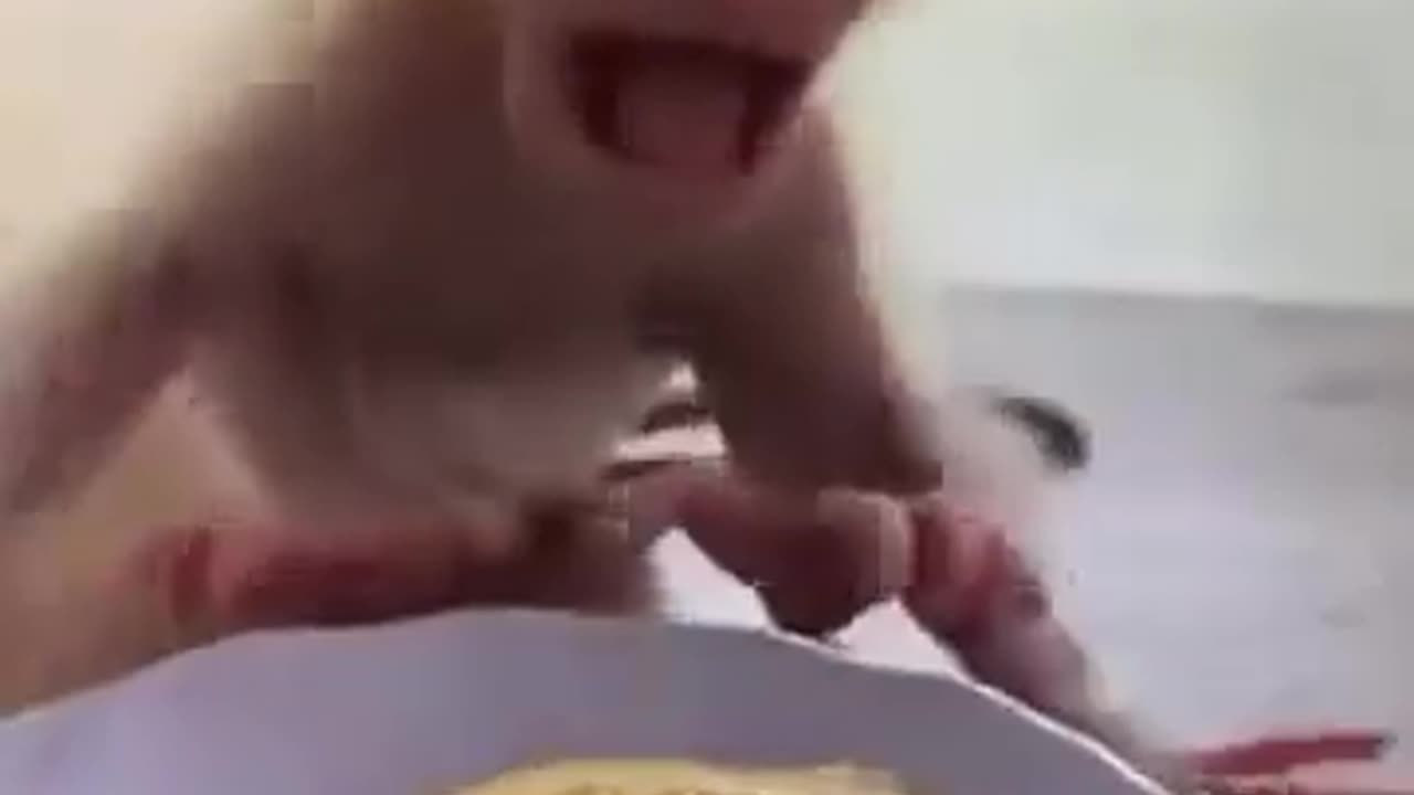 😂🔥 Wait For The Hilarious Acidity Reaction! | FunFM