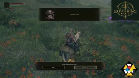 Elden Ring Unable to Join Multiplayer Mode
