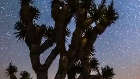 Beauty of Nature