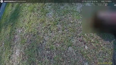 Berkeley County deputy rescued after collapse from fentanyl exposure