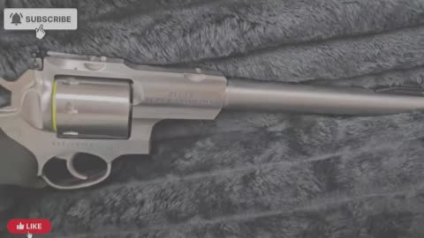 Ruger .22 Hornet