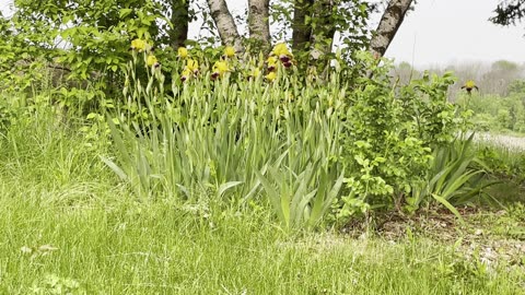 What is preventing you from blooming?