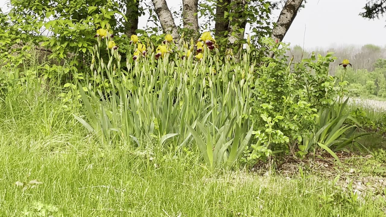 What is preventing you from blooming?