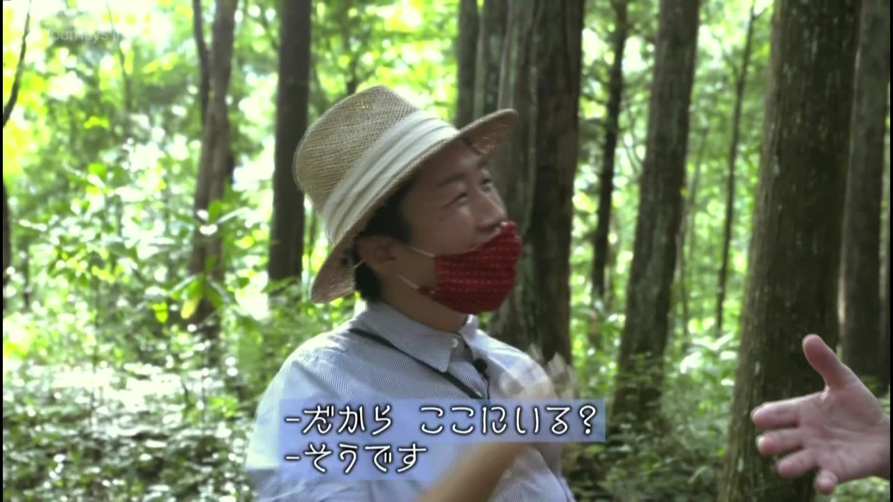 Journeys in Japan 「徳島神山 からくりとITと」