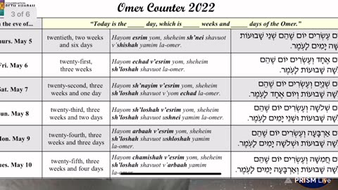 Matthew 28; RSTNE Scripture Reading (Day 172) Bible on Audio; Omer 22