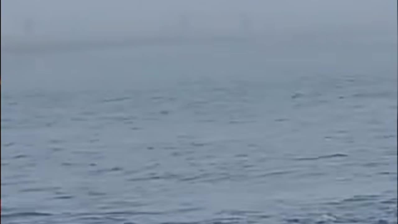 😱👽 Skinwalker or Alien Entity? The Mysterious Video You Need to See! | TheHauntingHour