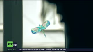 RT DE Live-TV