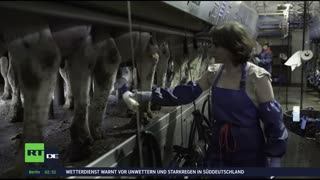 RT DE Live-TV