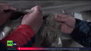 RT DE Live-TV