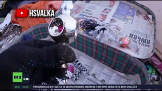RT DE Live-TV