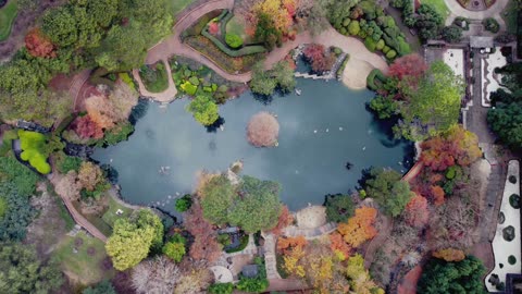 Enjoy the natural scenery and feel the great instrumental music P3
