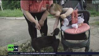 RT DE | 24/7 Live-TV