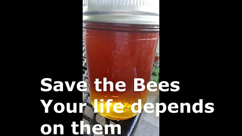 Who's Killing our Bees