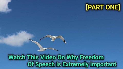 Watch This Video On Why Freedom Of Speech Is Extremely Important [Part One]