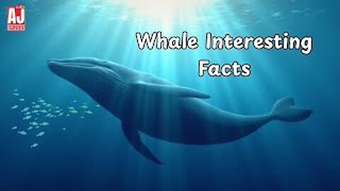 Whale Facts for Kids🐋 | Fun Ocean Learning Video😊
