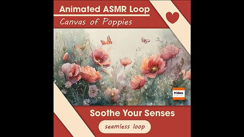 🎨Canvas of Poppies | ASMR Loop Nature Relaxing Calming Tingles Stress Relief Sleep Meditation Focus