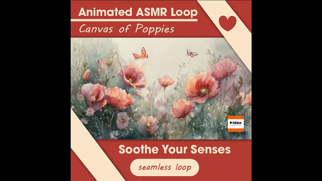 🎨Canvas of Poppies | ASMR Loop Nature Relaxing Calming Tingles Stress Relief Sleep Meditation Focus