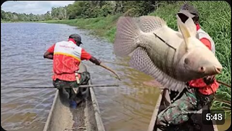 Archery Fishing Adventure from a Small Boat – Epic Catch!