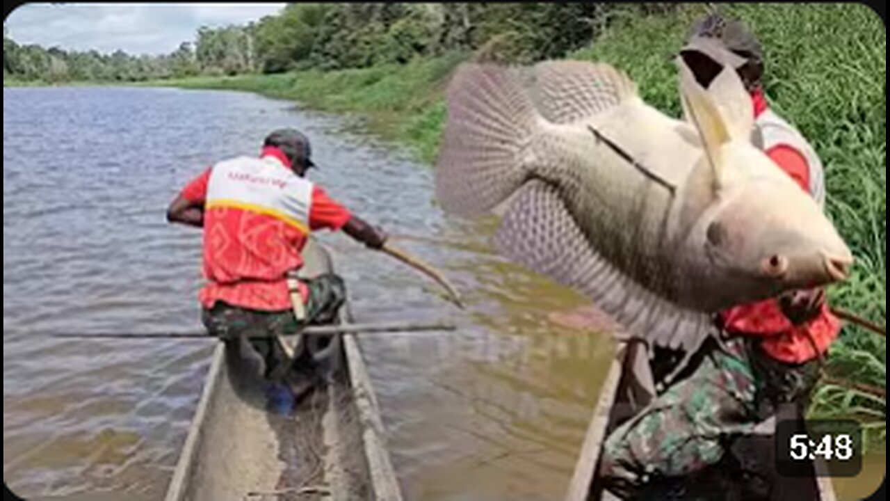 Archery Fishing Adventure from a Small Boat – Epic Catch!