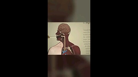 Power of fasting
