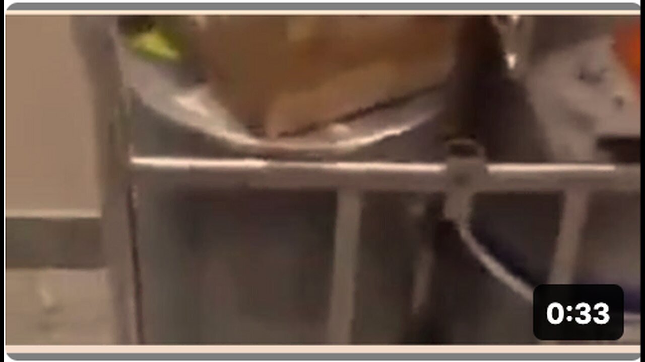 "Police Planting Corrosive and Explosive Devices in Ottawa: False Flag Operation Exposed"