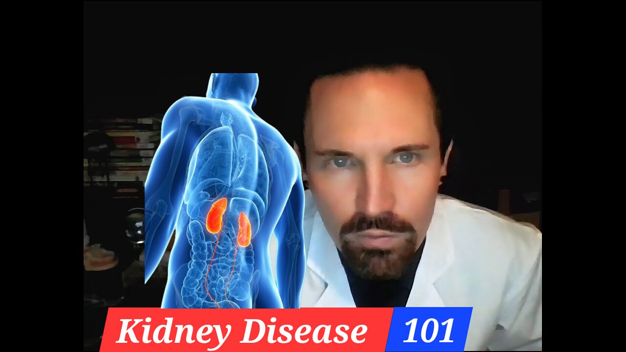 Kidney Disease 101 The Basics
