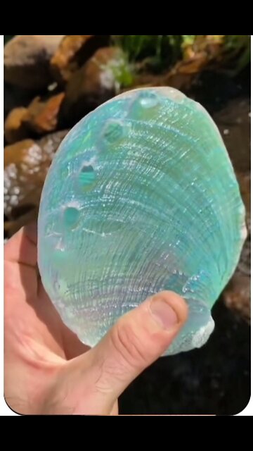 How Mesmerizing Is This