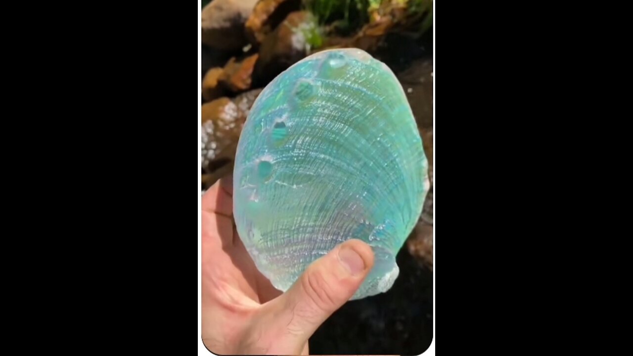 How Mesmerizing Is This
