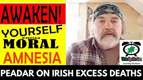 The Elephant has Become the Room – Irish Excess Deaths