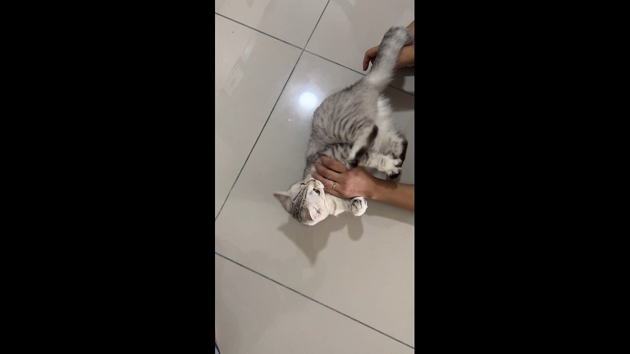 Funny moment tuly