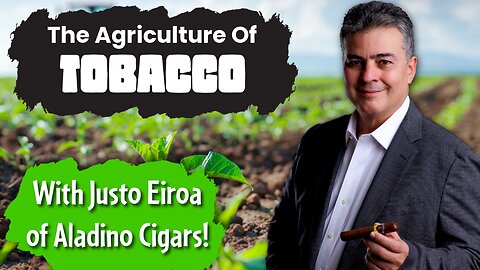 Cigar Tobacco Agriculture