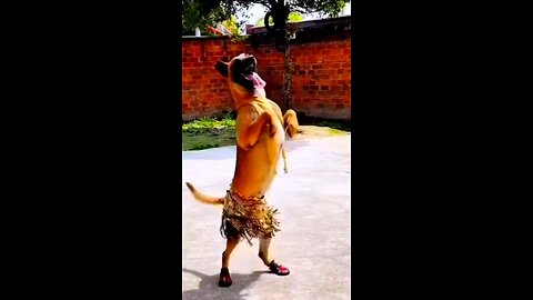 Just it a shadow 🥰😜 I am in Shakira#funnydog, #dogfails, #cutepuppy