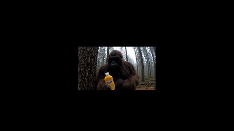 Bigfoot tries out Nair
