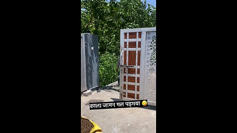 मै कार दुगी